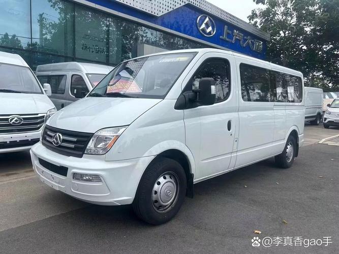 大通面包车／大通面包车七座图片