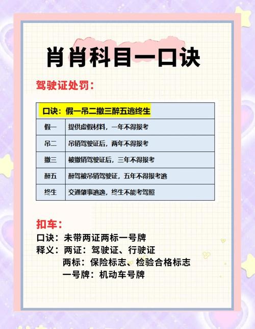 怎么在手机上交违章罚款(怎样才能在手机上交违章罚款)