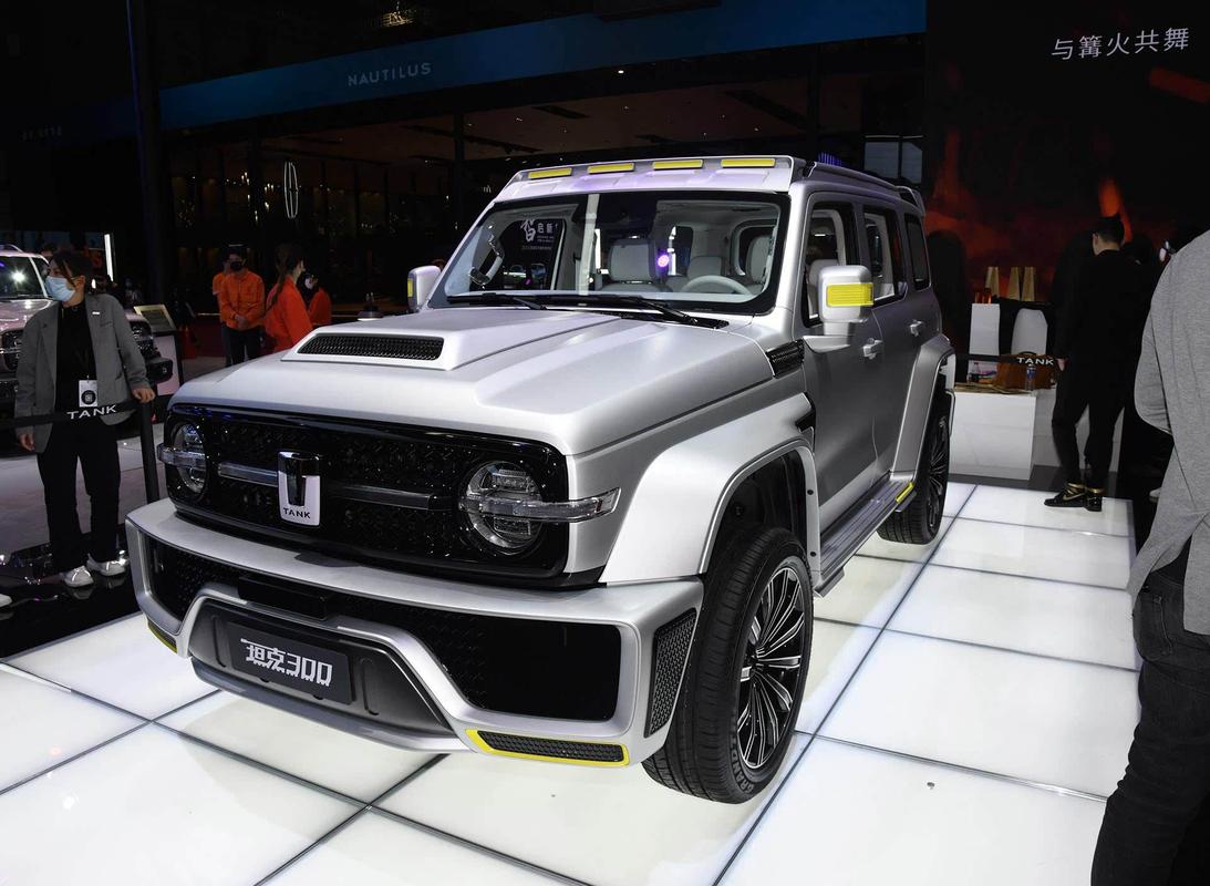 wey坦300最新价格,wey坦300是什么牌子