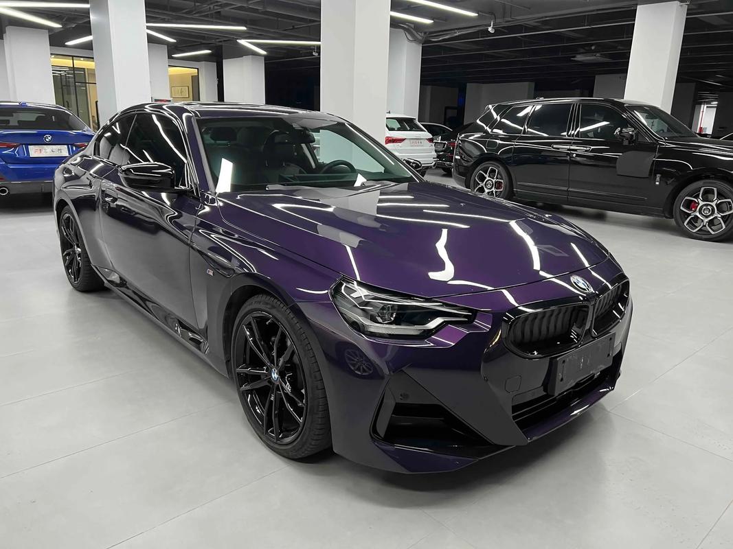 宝马x22024(宝马X22023款sDrive25i M运动曜夜版怎么样)